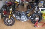 Radical Ducati.jpg